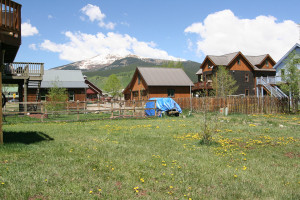 Sold Today in Crested Butte
