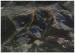 Crested Butte Expands Skiable Terrain with Teo 2 Bowl | Channing ...