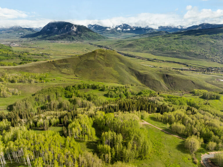 Aerial view of a green valley with rolling hills and a dense forest in the foreground, mountain peaks in the distance under a blue sky.