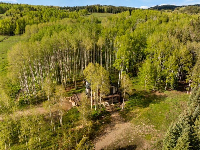 A house with a wooden deck sits among tall aspen trees in a forest clearing seen from above.