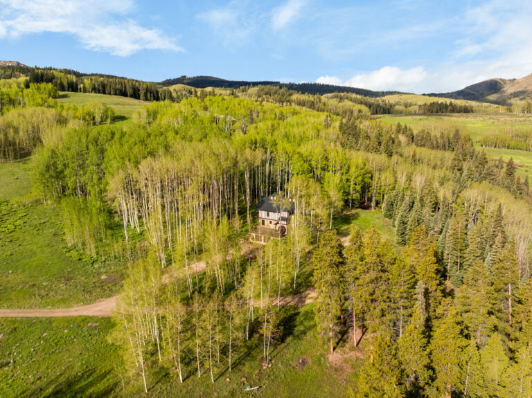 A house nestled among tall aspen trees in a green valley, seen from above.