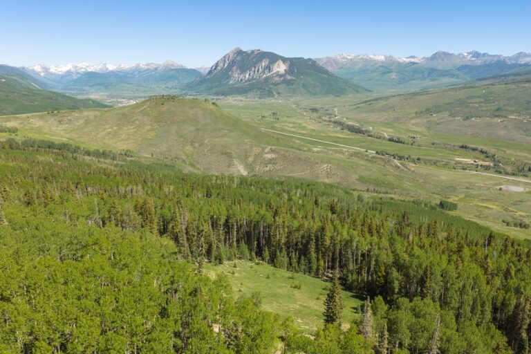 Aerial view of a valley with green hills, scattered trees, and snow-capped mountains under a clear blue sky.